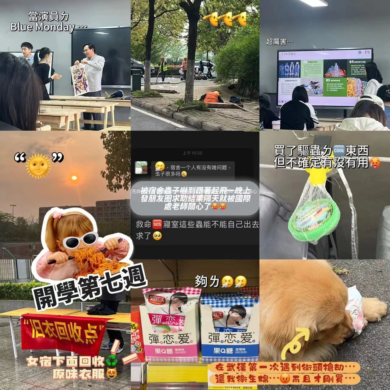 suncitygroup太阳集团